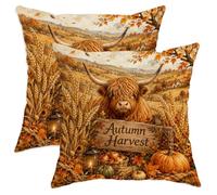 Set di 2 federe per cuscini con mucca delle Highland, rustiche, zucca, grano, autunno, arancione, con cerniera nascosta, per soggiorno, camera da letto, loft, ufficio, auto, decorazione 35,5 x 35,5 cm