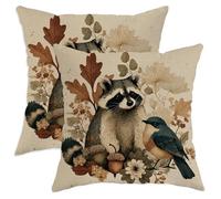 Set di 2 federe per cuscini con procione, in morbido velluto lavabile, motivo natura, rustico, uccello, ghianda, marrone, per casa, soggiorno, camera da letto, dormitorio, divano, decorazione 50 x 50