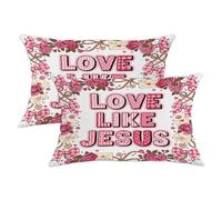 Set di 2 federe per cuscini con rose, romantiche decorazioni vintage con fiocchi e cuori, San Valentino, pesca, con cerniera nascosta, per casa, soggiorno, camera da letto, dormitorio, divano, 50 x 30