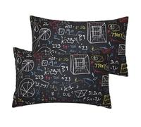 Set di 2 federe per cuscini in lino francese, per matematica e fisica, dimensioni standard, 30,5 x 50,8 cm, traspiranti e rinfrescanti, per tutte le stagioni, morbide federe per cuscino con chiusura a