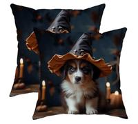 Set di 2 federe per cuscino con cerniera a forma di strega, cappello magico, simpatiche candele a forma di cane, disegni artistici, animali, in velluto nero, giallo, ornamenti morbidi, per divano