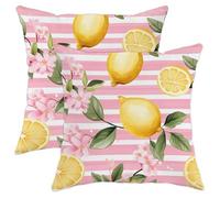 Set di 2 federe per cuscino con fiori di ciliegio tropicali, frutta estiva retrò a righe rosa, in velluto accogliente, lavabile, per interni, soggiorno, divano, letto, decorazione standard per casa