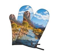 Set di 2 guanti da forno Zion National Park, resistenti al calore fino a 260 °C, guanti da forno antiscivolo per cucinare presine, utensili da cucina essenziali da cucina