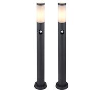 Set di 2 lampade da terra RGB LED in acciaio inox REMOTE CONTROL rilevatore di movimento giardino luce esterna DIMMABILE