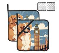 Set di 2 sottopentola da cucina resistenti al calore con passanti per appendere Big Ben, presine per cani, lavabili, per forno, antiscivolo, set di sottopentola quadrato per barbecue, 20 cm x 20 cm