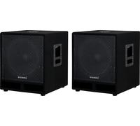 Set di 2 subwoofer da 1200 W Woofer da 15'' 38 cm Sub Bass Reflex PA passivo