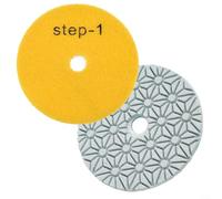 Set di 2 tamponi per lucidatura a 3 gradini da 100 mm, asciutti o bagnati, con retro in resina, per lucidare superfici in granito, cemento, pietra, marmo (2 pezzi passo 1)