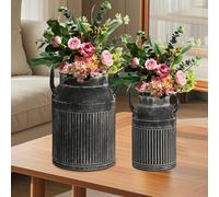 Set di 2 Vasi in Metallo: Vaso Da Fiori, Secchio Da Giardiniere, Brocca per Il