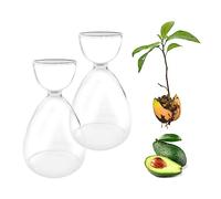 Set di 2 vasi in vetro e starter kit con sementi per la coltivazione domestica dell’avocado, ideale come decorazione per tavolo, ufficio, casa