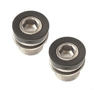 Set di 2 viti per braccio a manovella M15 per asse ISIS e per Bosch eBike, in acciaio argentato antiruggine, 8 mm esagono incassato, fissaggio (4 pezzi)