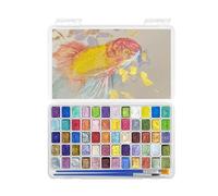 Set di 20/60 colori ad acquerello glitter perlescente acquerello pigmento metallo per disegno acquerello colore acquerello 20 set, Shimmer adulti colori set, metallo forestale per mini perlescente