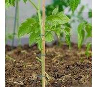 Set di 20 picchetti di supporto per piante robusti e riutilizzabili per una crescita più forte nel tuo giardino (45,7 cm)