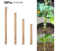 Set di 20 picchetti di supporto per piante robusti e riutilizzabili per una crescita più forte nel tuo giardino (40,6 cm)