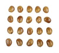 Set di 20 stampi in schiuma artificiale per patate e verdure, per simulazione e visualizzazione visiva in casa, ristorante o mercato