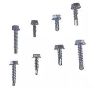 Set di 200 viti autoperforanti per metallo per legno autoperforanti | 304 acciaio inossidabile, resistente alla ruggine, durevole, resistente all'umidità, perfetto per esterni e bagni