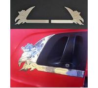 Set Di 2x Acciaio Inox Maniglia Decorazioni per Scania L Serie 1995-2004
