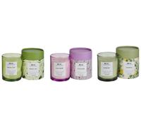 Set di 3 Candele Profumate Cera di Soia Note fresche Note floreali