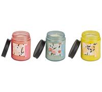 Set di 3 Candele Profumate Cera di Soia Note orientali, di erba, Note floreali