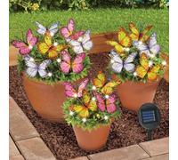 Set Di 3 Energia Solare Farfalla Spazzole Vegetazione Con Giardino Mezza Rotondi