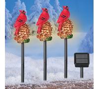 Set Di 3 Energia Solare Natale Cardinals On Pigne Vialetto Pennarello Paletti