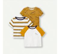 Set Di 3 Magliette Bambino Con Disegno Cartone Animato Di Dinosauro A Manica Corta E Colletto Tondo A Blocchi Di Colore 6-9M,9-12M,12-18M,18-24M,2-3Y,0-1M,1-3M,3-6MAnimale,Fumetto,Blocchi di colore,Ge