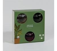 Set di 3 ollas di vetro rosso, verde e trasparente