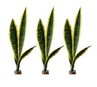 Set di 3 piante artificiali di serpente sansevieria per trio, in plastica realistica, lingua suocera, manutenzione verde per scrivania da ufficio, mensola del bagno e (verde)
