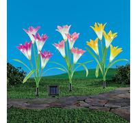 Set Di 3 Picchetti Da Giardino Con Lilium Pasquale Colorato A Energia Solare