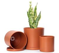 Set di 3 piccoli vasi cilindrici minimalisti in plastica con foro di drenaggio e piattini senza cuciture, 10,2 cm, 12,7 cm, 15,2 cm, color terracotta