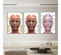 Set di 3 quadri su tela Poster Muscoli Facciali Anatomia Spa Medica Chirurgia Plastica Spa Infermiera Siringa Decor Estetista Parete Art Stampe Regalo Camera Da Letto Soggiorno Dormitorio Galleria Cor