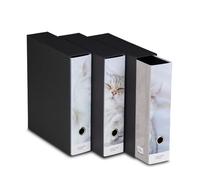 Set di 3 Raccoglitori ad Anelli, Colour Code, Bianco, Tema Gattino, Plastificati Lucidi, Ideale per fogli A4, Meccanismo a Leva