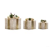Set di 3 scatole luminose natalizie in peluche con struttura in metallo e involucro in filo argentato, con funzione timer per decorazioni natalizie per la casa e l'esterno (oro)