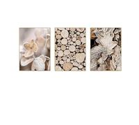 Set di 3 stampe artistiche da parete, stile rustico, moderno, immagini invernali, legno, piante, pittura decorativa da parete con rami e foglie, per soggiorno, camera da letto e ufficio (40 x 50 cm)