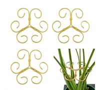 Set di 3 supporti plantari plants plants trellis plantSupport for indoor plants, upgrade metal plants stabilizer for ClimbingPlants Houseplant, Indoor PlantsAccessories