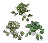 Set di 3 vasi decorativi per piante finte, rinfrescano istantaneamente l'ambiente circostante