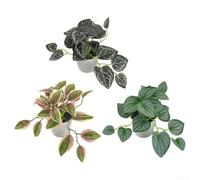 Set di 3 vasi decorativi per piante finte, rinfrescano istantaneamente l'ambiente circostante (C)