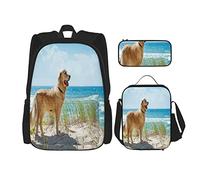 Set di 3 zaini con cane Golden Retriever su una duna sabbiosa con vista sulla spiaggia tropicale, oceano e cielo, borsa da viaggio, lavoro e scuola, astuccio portapenne, borsa per il pranzo, per uomin