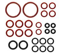 Set di 30 Anelli di Tenuta O-Ring per Macchine da Caffè Automatiche, Ricambi Compatibili con Philips Saeco Gaggia Spidem, Kit di Manutenzione per Gruppo Erogatore, Valvola Vapore e Valvola di Scarico