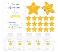Set di 30 spille a forma di stella per dipendenti del mese, biglietti di ringraziamento, sacchetti di organza, regali di apprezzamento del personale per un lavoro di squadra positivo, regali di fine