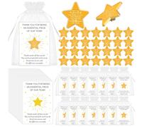 Set di 30 spille da bavero a forma di stella con riconoscimento dei dipendenti, design a stella dorata con messaggio ispiratore, spille da bavero per riconoscimento dei dipendenti, con biglietti di