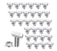 Set di 30 viti a testa martello, M10 x 25 mm, con dadi di bloccaggio in acciaio inox A2-70, dadi flangiati a T M10 per scanalatura a T, guide profilate
