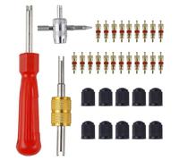 Set di 33 strumenti per la rimozione delle valvole degli pneumatici dell'auto, kit di riparazione per valvole dei pneumatici, rimozione del nucleo della valvola a doppia e singola testa, strumento per