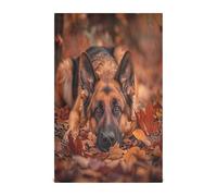 Set di 4 asciugamani assorbenti con stampa di un pastore tedesco, 71 x 45 cm