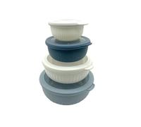 Set di 4 ciotole for mescolare a bocca larga con coperchi, contenitori for condimenti for insalata, for snack, contenitore salvafreschezza, bento(Blue-white-4pcs)