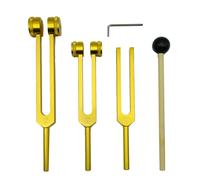 Set di 4 Diapason (128Hz, 256Hz, 512Hz) con Diapason per Strumento9198