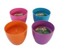 Set Di 4 Mini Candele Da Giardino In Colorati Vasi Di Bambù Biodegradabili