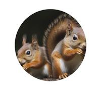 Set di 4 sottobicchieri a forma di scoiattolo, in pelle resistente al calore, FUUNY, per bar, birra e bevande.