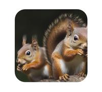 Set di 4 sottobicchieri a forma di scoiattolo, in pelle resistente al calore, FUUNY, per bar, birra e bevande.