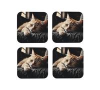 Set di 4 sottobicchieri quadrati in pelle con gattini che fanno un pisolino, impermeabili, resistenti al calore, per soggiorno, cucina, bar, caffè
