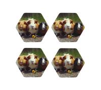 Set di 4 sottobicchieri rotondi in pelle a forma di porcellini d'India divertenti per bevande, assorbenti, tazze con supporto, resistenti al calore, sottobicchieri per tazze da caffè, per cucina e uf